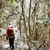 弥生に入る三辻山の遊山　雪見