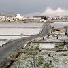 鮎貝の水仙まつりと飯豊の桜、エンジンオイル交換２と部品洗浄、そして水漏れ💦