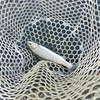 アングラーズパークキングフィッシャー【栃木の倅イベントで残っている魚を狙う！】