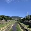 モルダウ川から話題は芦屋川へ移りにけり