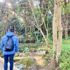 日光を浴びることが人生の幸福度を上げる🤲日光を浴びると良いメリット“12選”✨✨