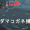 【MHWs】ユキダマコガネ捕獲法解説！続サミンの研究レポートのサイドミッションクリア！Monster Hunter Wilds【モンスターハンターワイルズ/ゆっくり実況/環境生物】