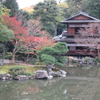 京都の休日　十一月十日（土）晴時々小雨