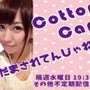 CottonCandyにだまされなかった話