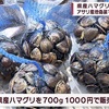 県産ハマグリ試食販売会