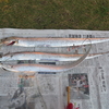 太刀魚(タチウオ)釣りに挑戦して３匹ゲット、おまけにタコもゲットしました(笑み)