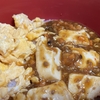 麻婆丼的なものをおかゆにかけたら美味かった