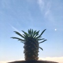 モノクロの世界