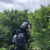 山登り(大山【弥山】) 後編
