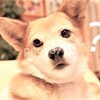 あら？　うちはどこ？？？