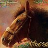 Beautiful Horse Digital Painting  美し馬の絵を色編集加工してアップしてます。 