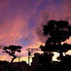 【日常】台風一過の夕空