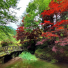 長野県の珍景　安曇野の万願寺