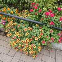 トイレ？じゃないのよ　洞穴（ほらあな）？山下公園の不思議な建物ってなに？