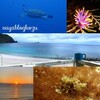 夏が終わるーーー