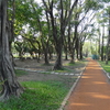 大安森林公園