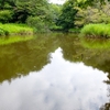 水鳥の池（神奈川県座間）
