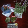 賞品ゲット！！
