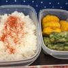 詰めるだけ弁当！