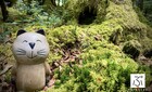 フォト日記　信州・蓼科の３日間　〈2025/6/11-13〉