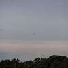 ゴマ粒・飛行機・少し大きめ・・