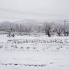 ⛄雪景色⛄