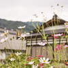福島旅 (2023.09.19-21) 「大内宿」編 Ⅲ