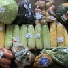 石狩の地物市場『とれのさと』と、我が家の畑🥒