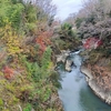 名鉄のハイキング（日本ライン今渡～可児川）