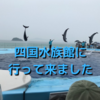 四国にできた新しい水族館。四国水族館に行ってきましたのでレポートします。