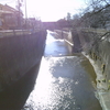 帰りの散歩道