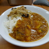 スープカレー、もやし、いちじく