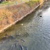 選ばれた者、、、、、、