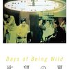 欲望の翼 Days of Being Wild | ウォンカーウェイ(監督) | 2024年映像・映画評#11