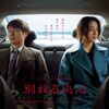 【映画】『別れる決心』～想いと疑惑が渦巻く愛の迷路～