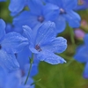 雨の中