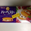 今年のお菓子 ２０１５