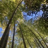 プロジェクト研究所「ジオ福連携研究所」始動