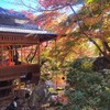 【京都】【御朱印】嵐山、『宝厳院』に行ってきました。 京都紅葉 京都観光 女子旅 