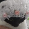 花嫁姿の猫