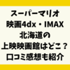 スーパーマリオ映画4dx・IMAX北海道の上映映画館はどこ？口コミ感想も紹介