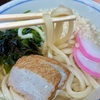 2 松山空港で早速「みかん」の洗礼＆マドンナ亭で「宇和島うどん」を食す！
