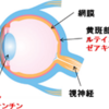 健康について考えたよ