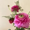 花は二度、喜びをくれる