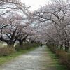 北上展勝地さくらまつり