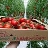 JR東日本グループによる植物工場トマトをカフェ・レストランなどで利用開始