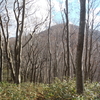 2025.11.16 晩秋の低山・太平山中岳（秋田市）へ