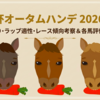 【京成杯オータムハンデ 2026 予想】追い切り･ラップ適性･レース傾向考察 ＆ 各馬評価まとめ / 重馬場キラー