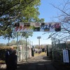 ｸﾗｼｯｸｶｰﾌｪｽﾃｨﾊﾞﾙの様子１・・北本総合公園（埼玉県北本市）