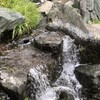 梅雨の4連休、最後は夏空